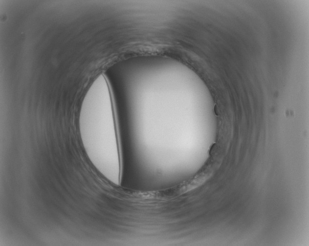 X0000084520624200702231136