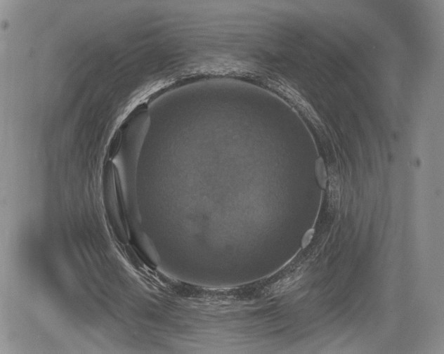 X0000084520626200702231135