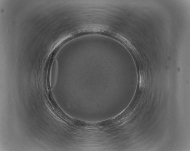 X0000084520627200702231135