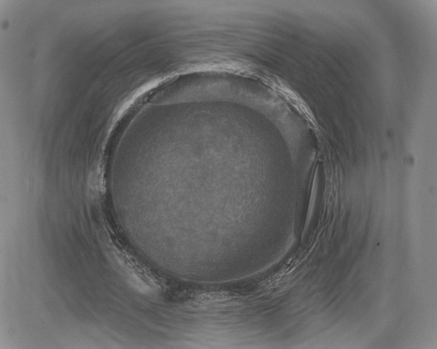 X0000084520628200702231135