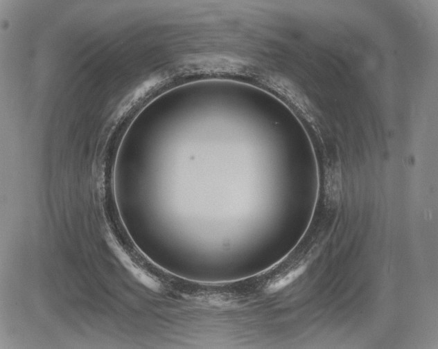 X0000084520629200702231135