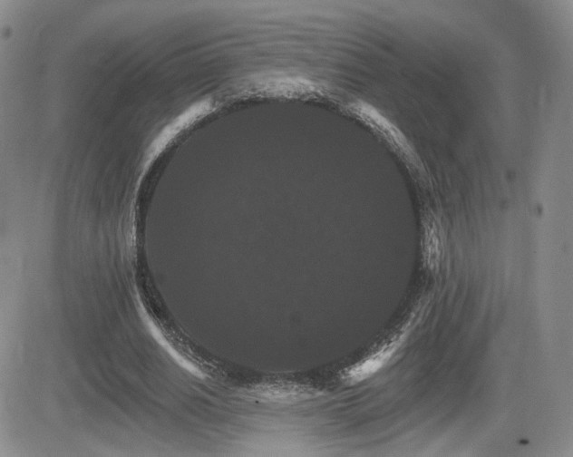 X0000084520630200702231135