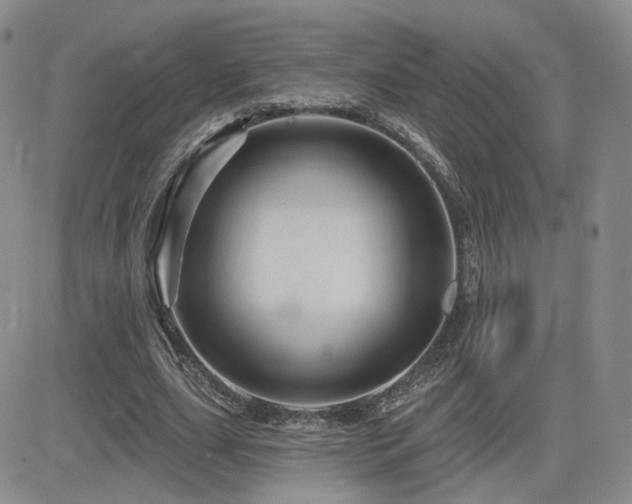 X0000084520631200702231135