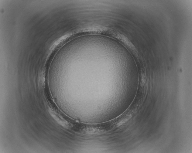 X0000084520632200702231135