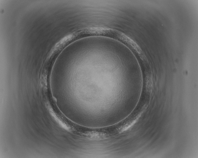 X0000084520633200702231135