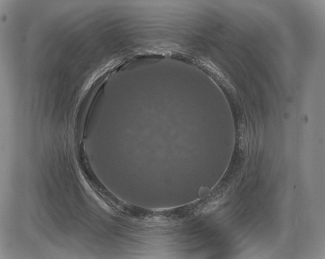 X0000084520634200702231135