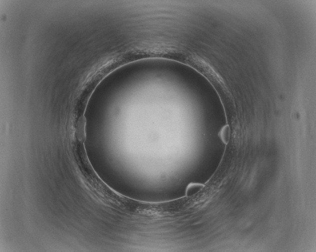 X0000084520635200702231135