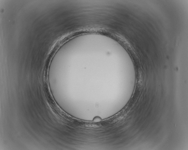 X0000084520636200702231135