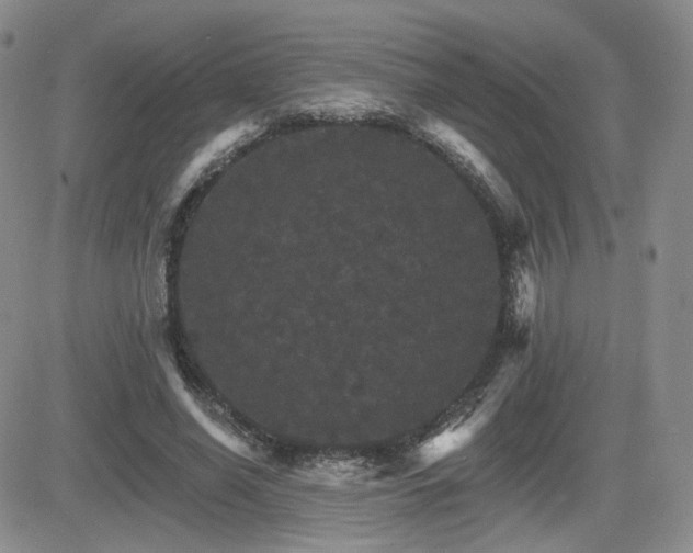 X0000084520638200702231135