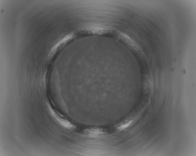 X0000084520639200702231135