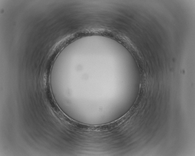 X0000084520640200702231135