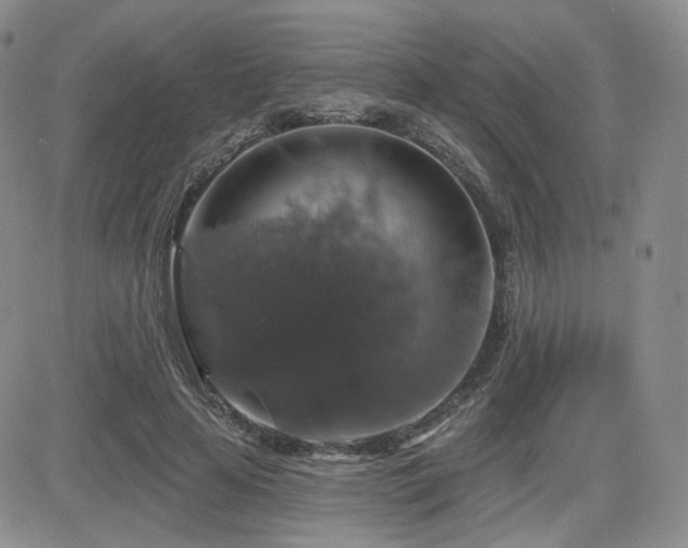 X0000084520641200702231135