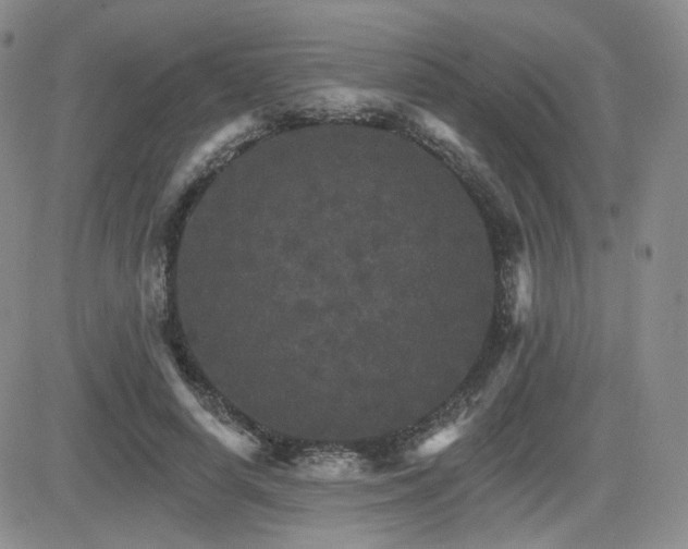 X0000084520642200702231135