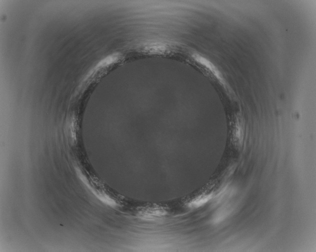 X0000084520643200702231136