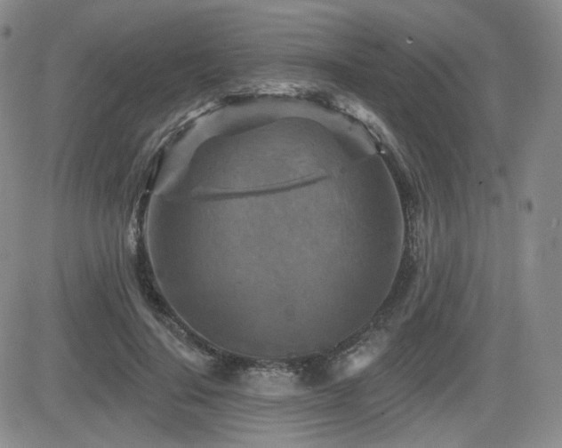 X0000084520644200702231136