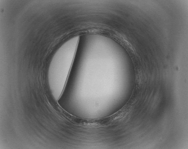 X0000084520645200702231136