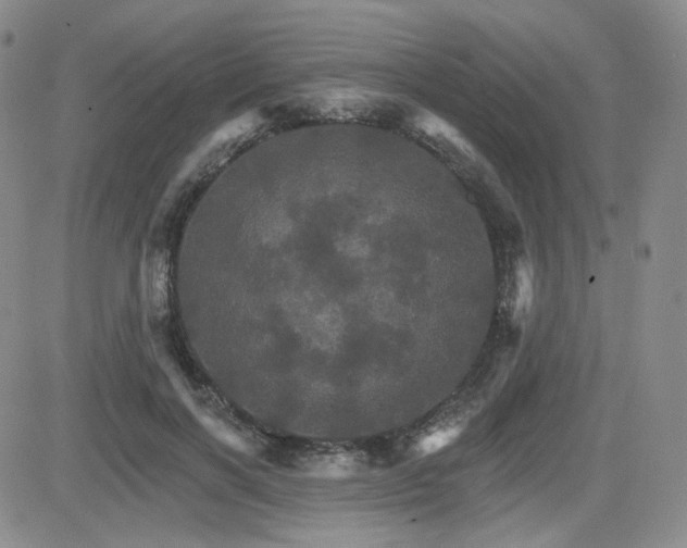 X0000084520646200702231136