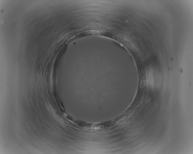 X0000084520647200702231136