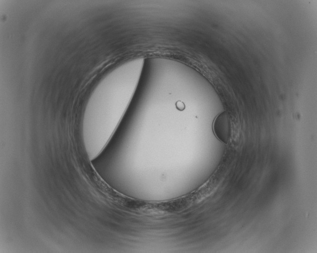 X0000084520648200702231136