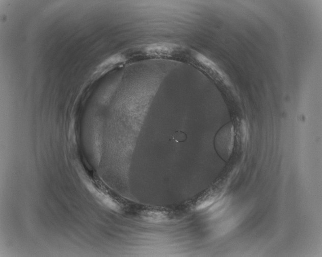 X0000084520649200702231136