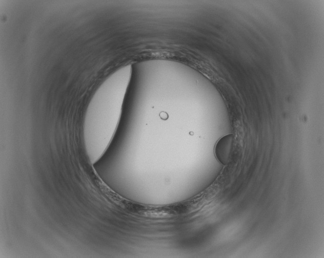 X0000084520650200702231136