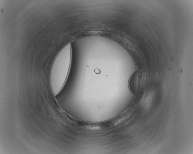 X0000084520651200702231136