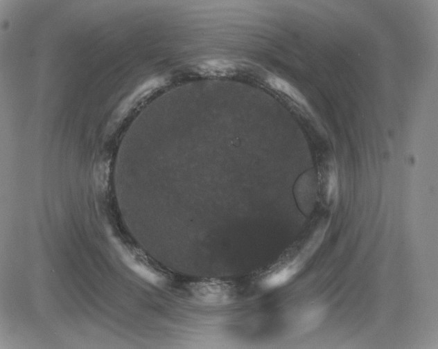 X0000084520652200702231136