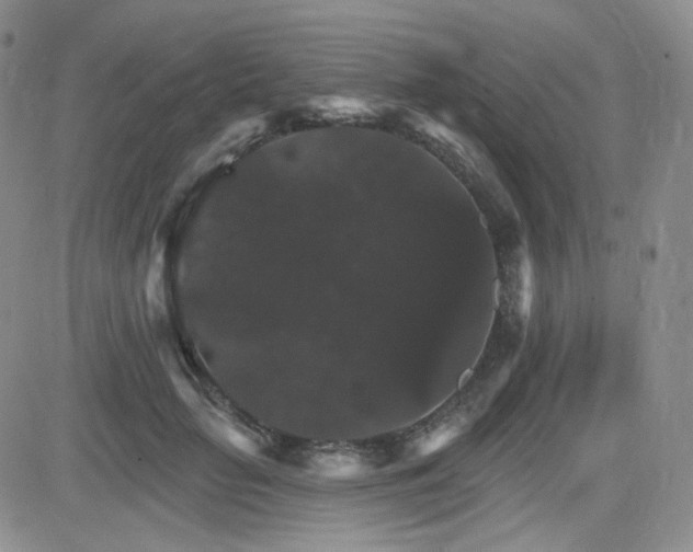 X0000084520653200702231136