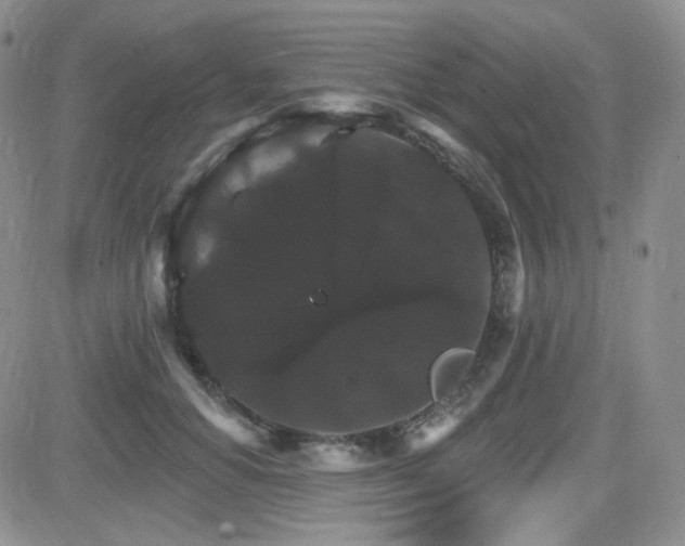 X0000084520654200702231136