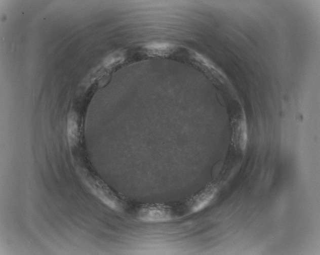 X0000084520655200702231136