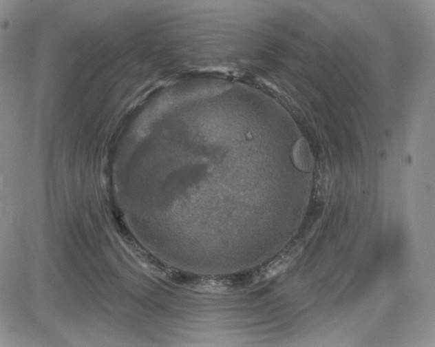 X0000084520656200702231136