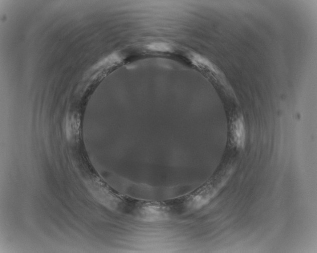 X0000084520657200702231136