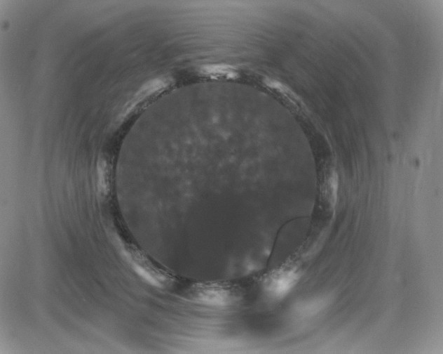 X0000084520658200702231136