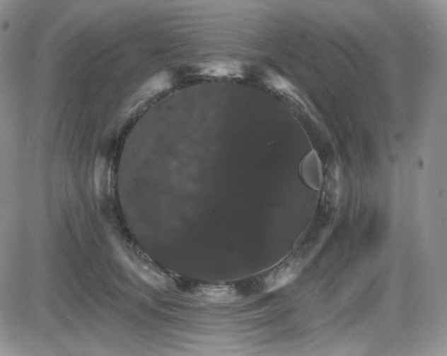 X0000084520659200702231136