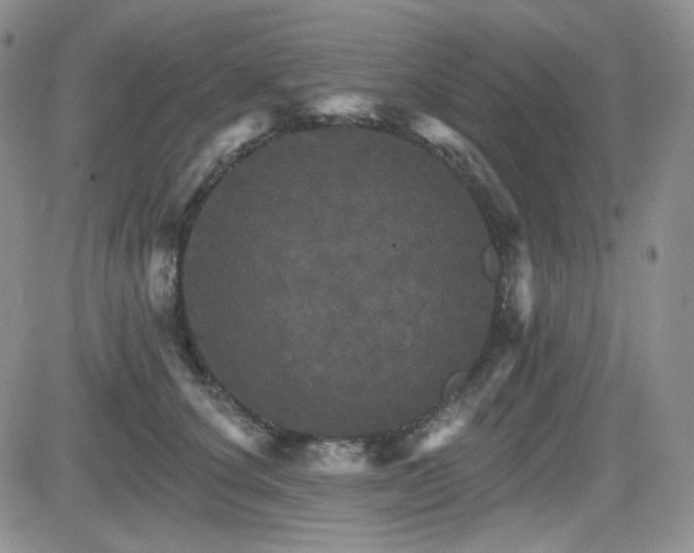 X0000084520660200702231136