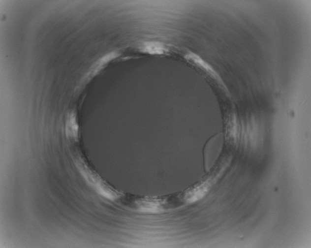 X0000084520661200702231136