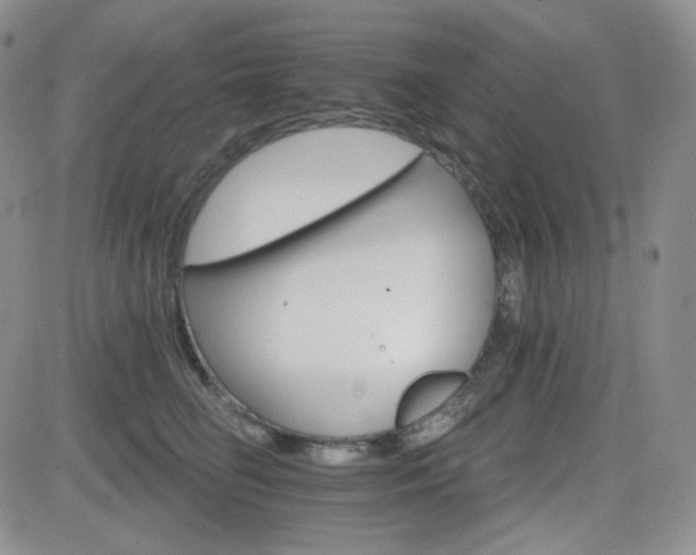 X0000084520662200702231136