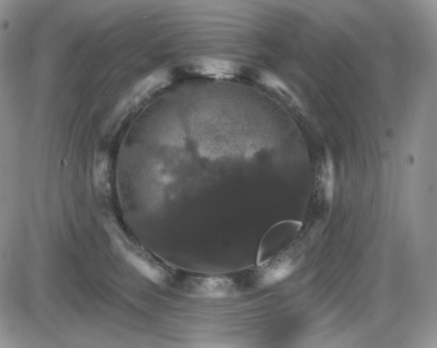 X0000084520663200702231136