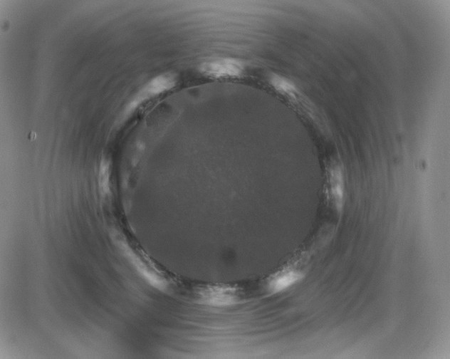 X0000084520664200702231136