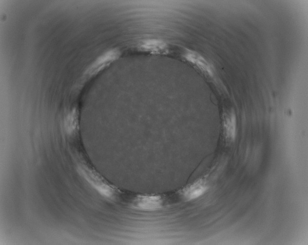 X0000084520665200702231136