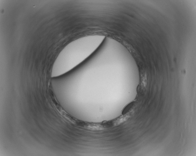 X0000084520666200702231136