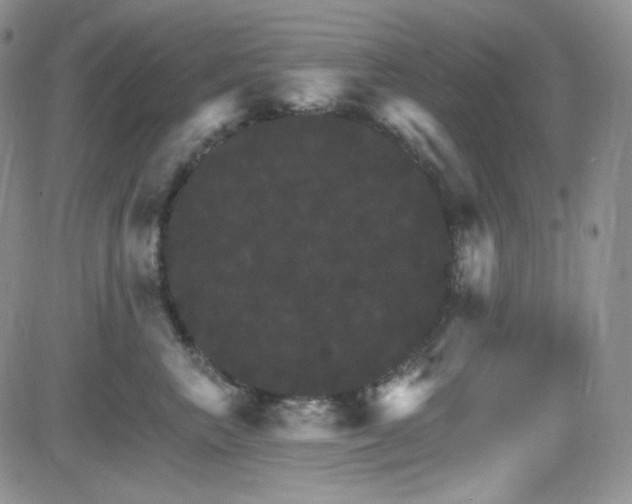 X0000084520667200702231136