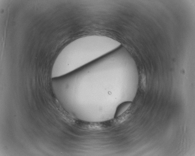 X0000084520668200702231136