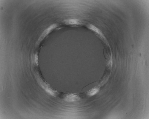 X0000084520669200702231136