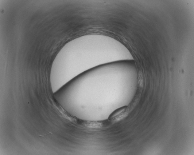 X0000084520670200702231136