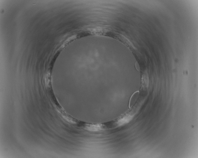 X0000084520671200702231136