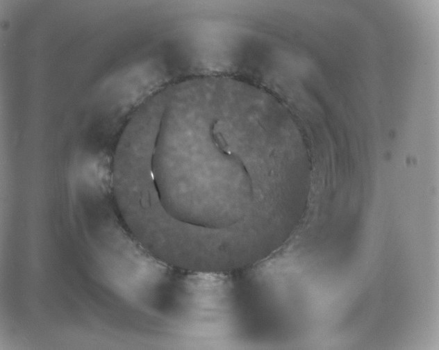 X0000084520672200702231136