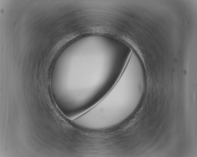 X0000084520673200702231135