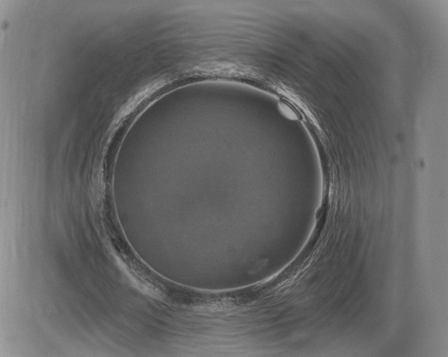 X0000084520674200702231135