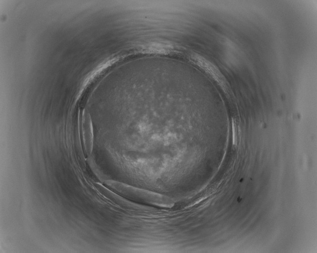 X0000084520675200702231135